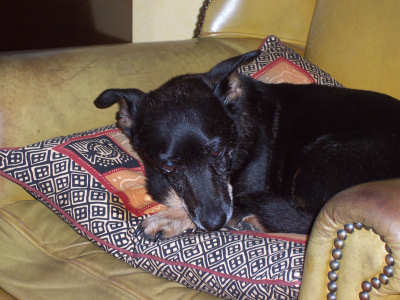 Muffin October 2005 Muffin October 2005